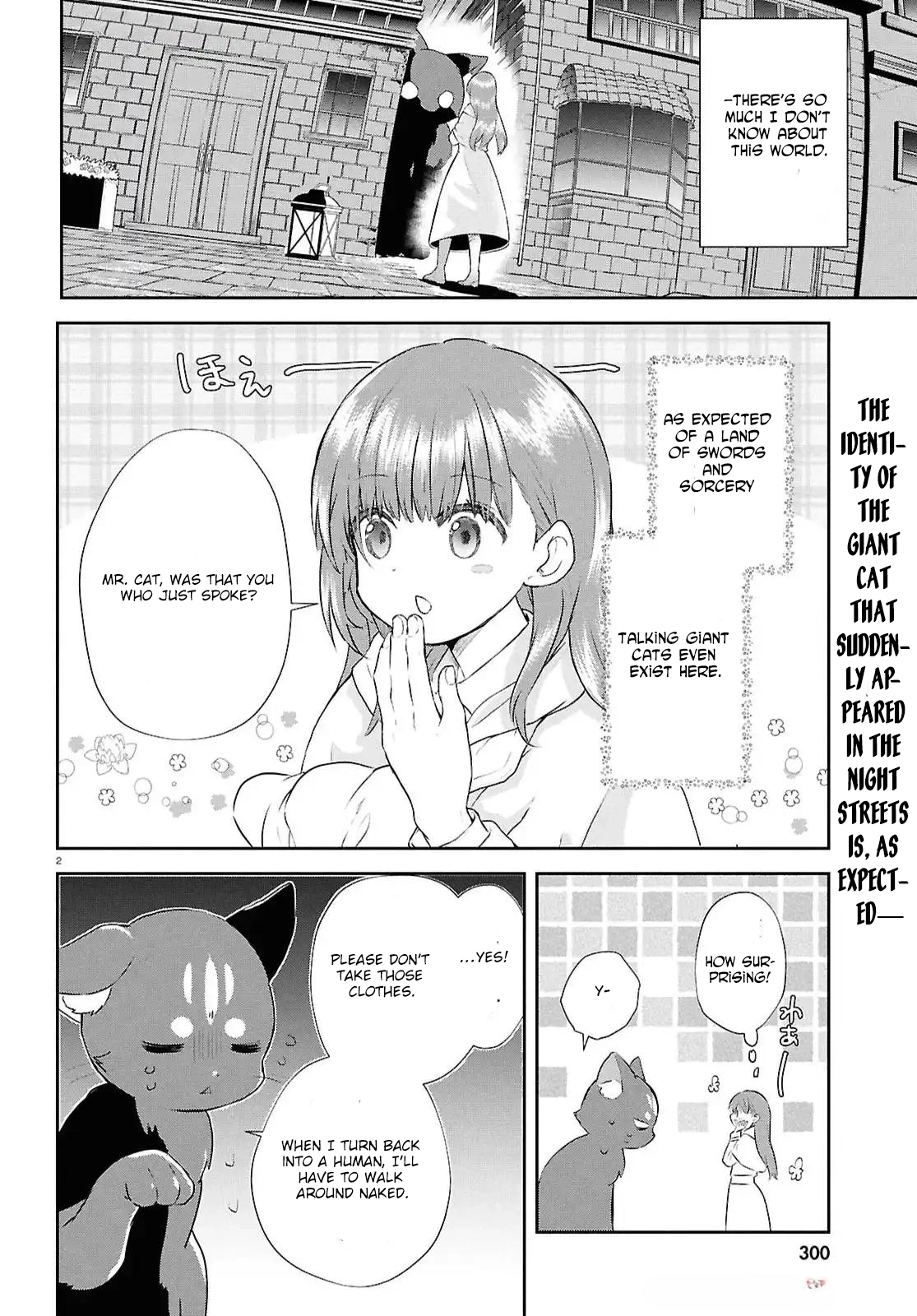 The Hideaway Café: The Mage by Accident and the Visiting Royal Secretary Chapter 5 Page 3